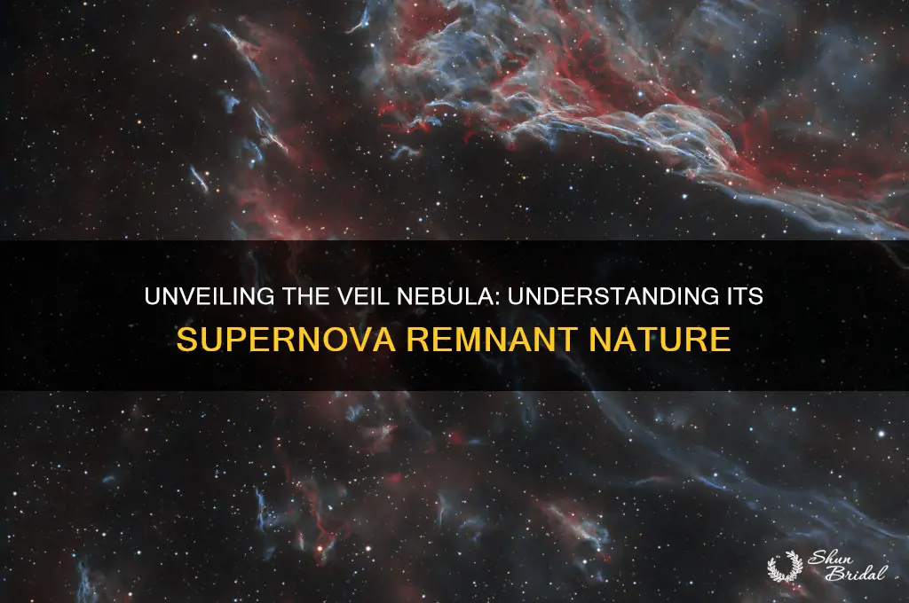 what type of nebula is the veil nebula