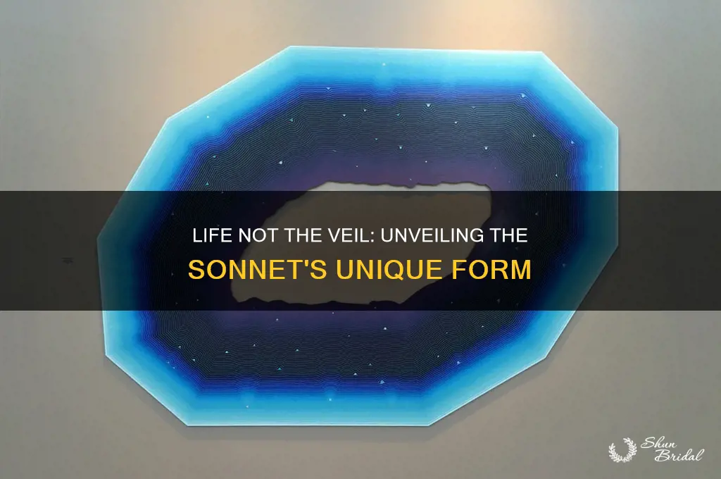 what type of sonnet is life not the veil
