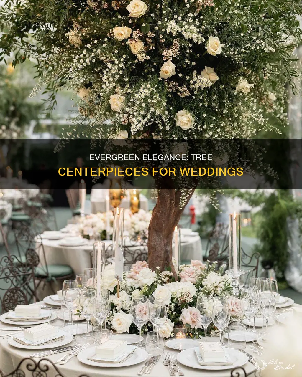 what type of trees are used for wedding centerpieces