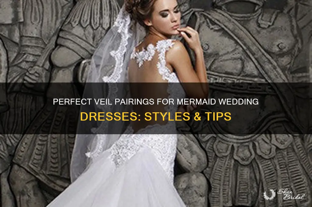 what type of veil to wear with mermaid dress