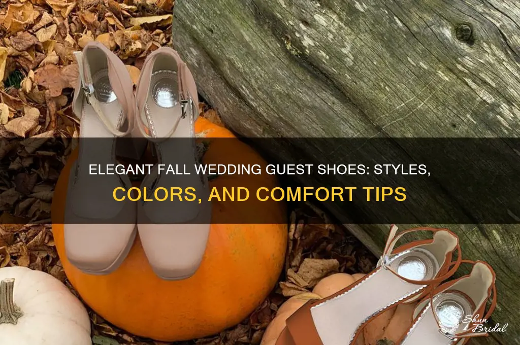 what type shoes for fall wedding guest