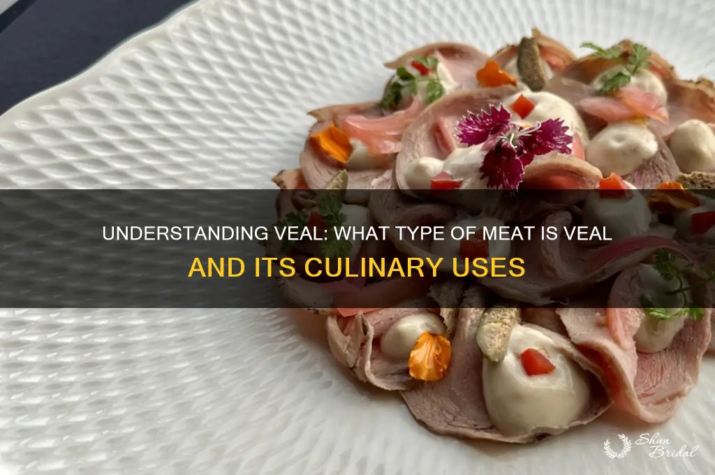 what typeof meat is veil