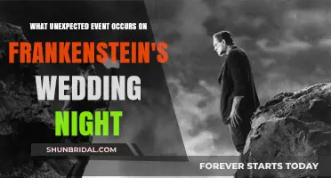 Frankenstein's Wedding Night: The Shocking Twist That Changes Everything