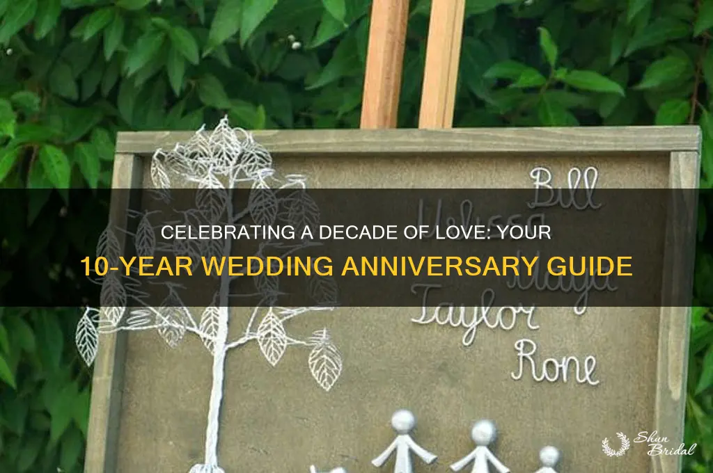 what us 10 year wedding anniversary