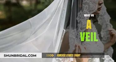 Understanding the Veil: Symbolism, Tradition, and Cultural Significance Explained