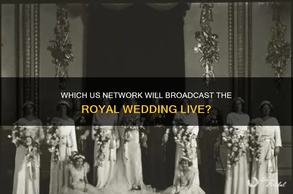 what us network covering royal wedding