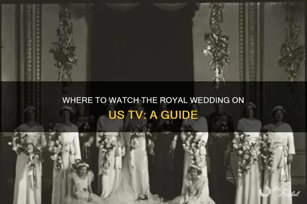 what us station is the royal wedding on