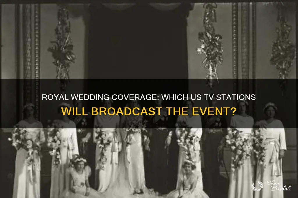 what us tv stations will cover the royal wedding