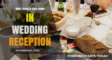 A Wedding Reception: Food, Fun, and Frolics