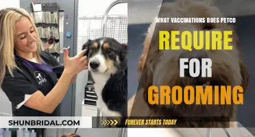Petco Grooming: Essential Vaccinations for Your Pet's Safety