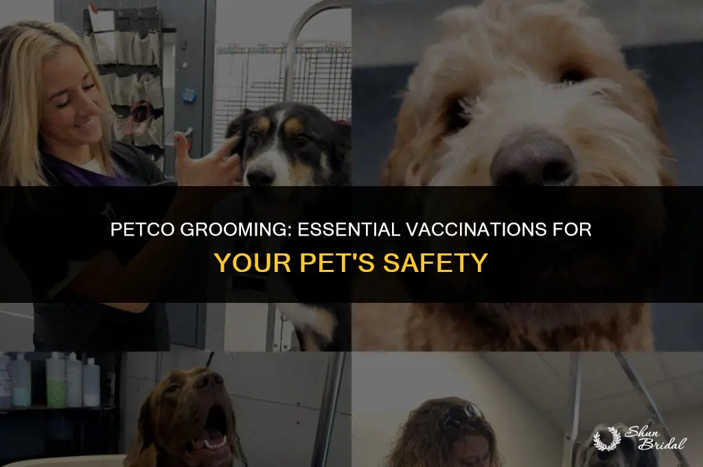 what vaccinations does petco require for grooming