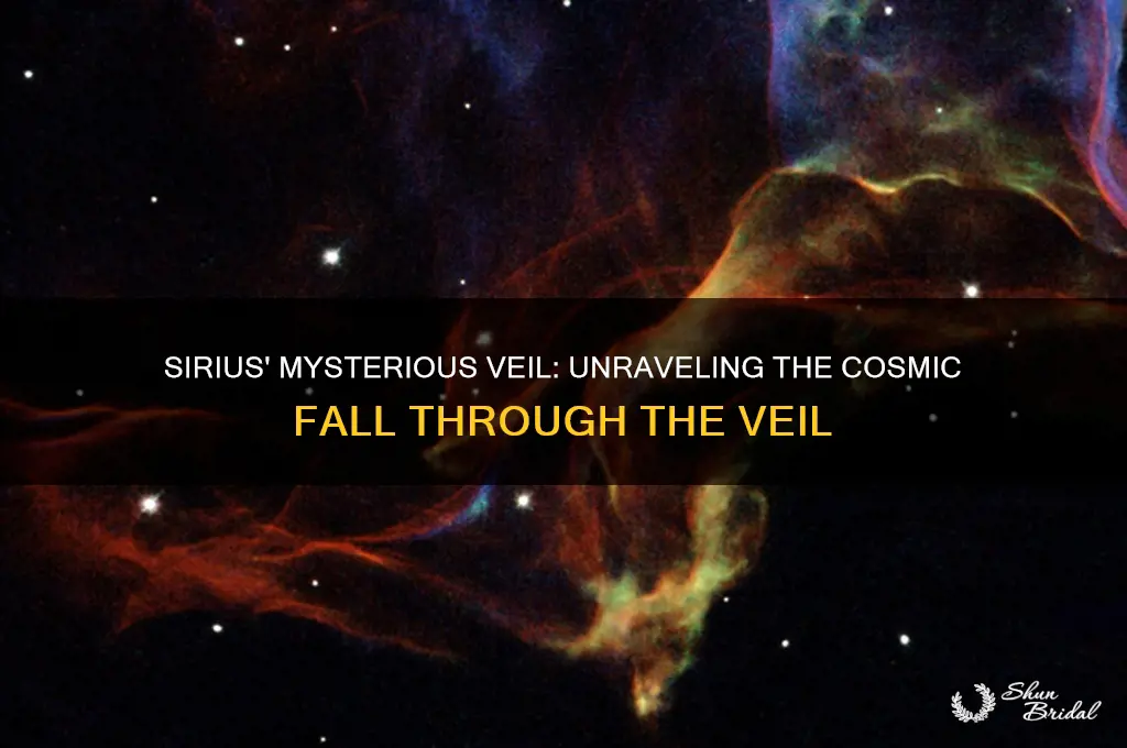 what veil did sirius fall through