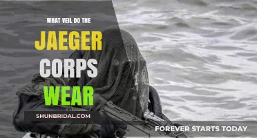 Jaeger Corps Veil: Unveiling the Unique Headgear of Elite Warriors