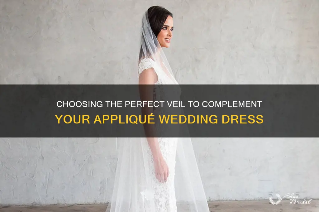 what veil for applicue dress