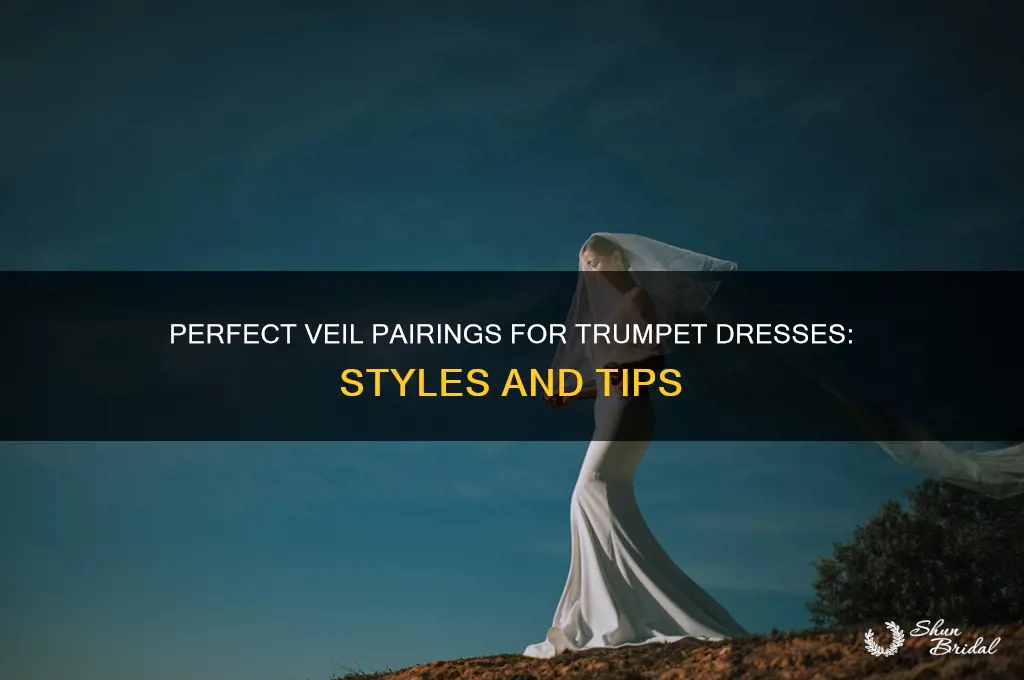 what veil for trumpet dres