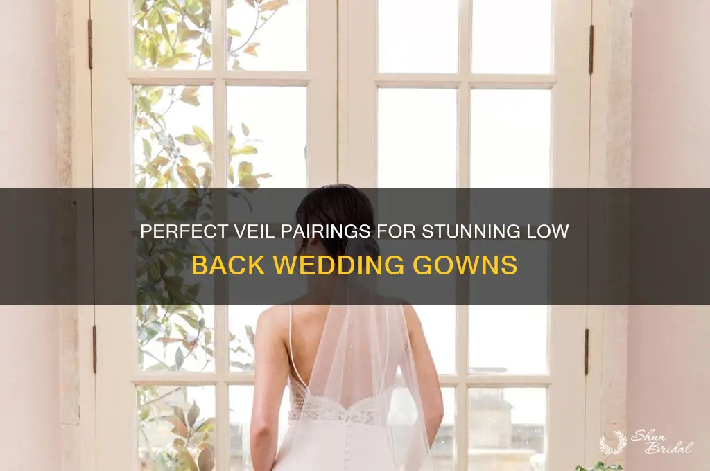 what veil goes with low back wedding gown