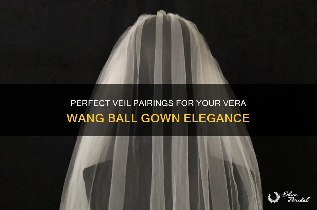 what veil goes with vera wang ball gown