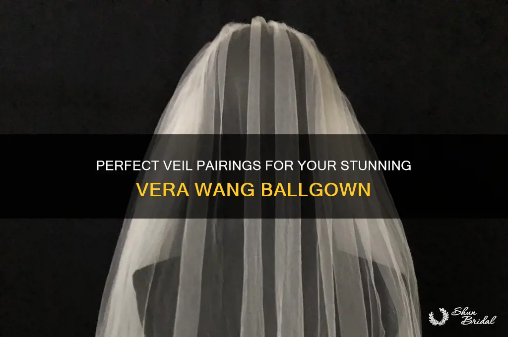 what veil goes with verga wang ballgown
