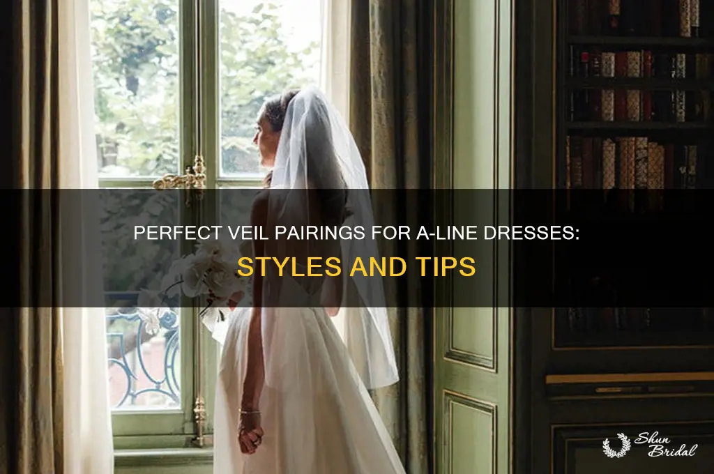 what veil to wear with a line dress