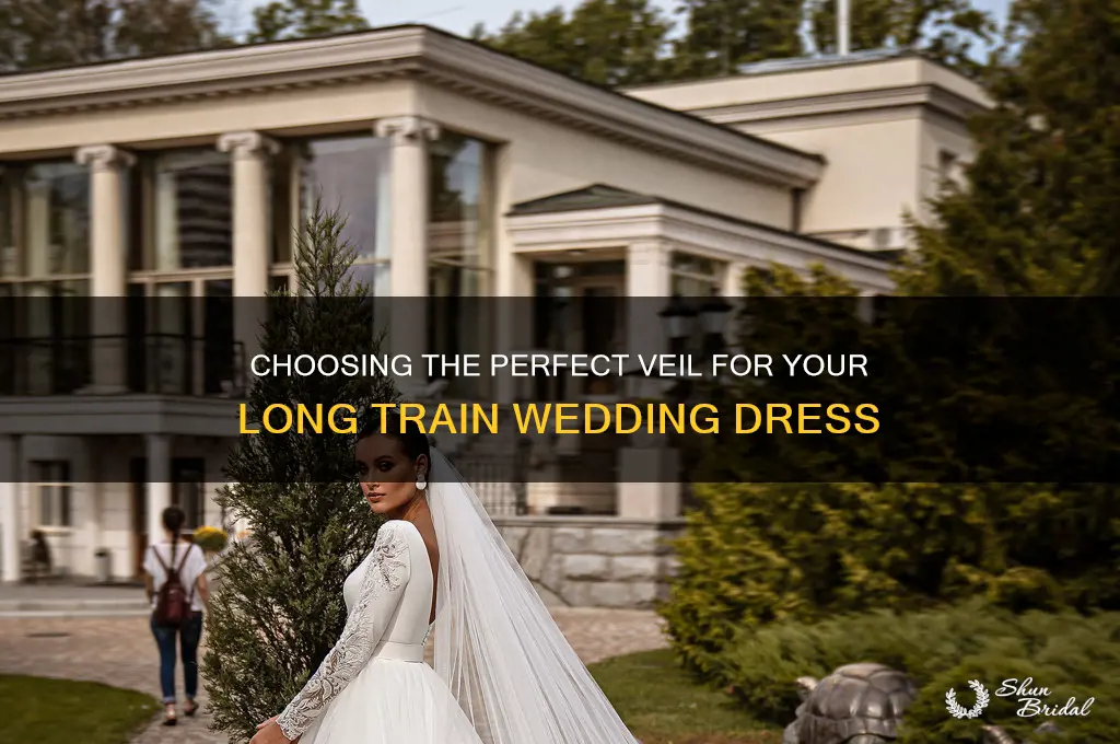 what veil to wear with a long train