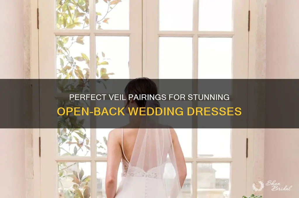 what veil to wear with open back dress