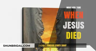 The Torn Veil: Unveiling the Mystery of Jesus' Death