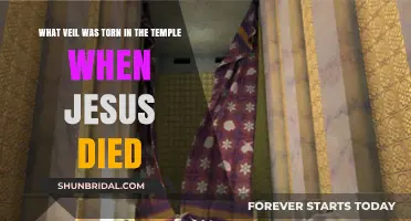 The Torn Temple Veil: Unveiling the Mystery of Jesus' Death