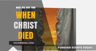 The Torn Veil: Understanding Its Meaning at Christ’s Death