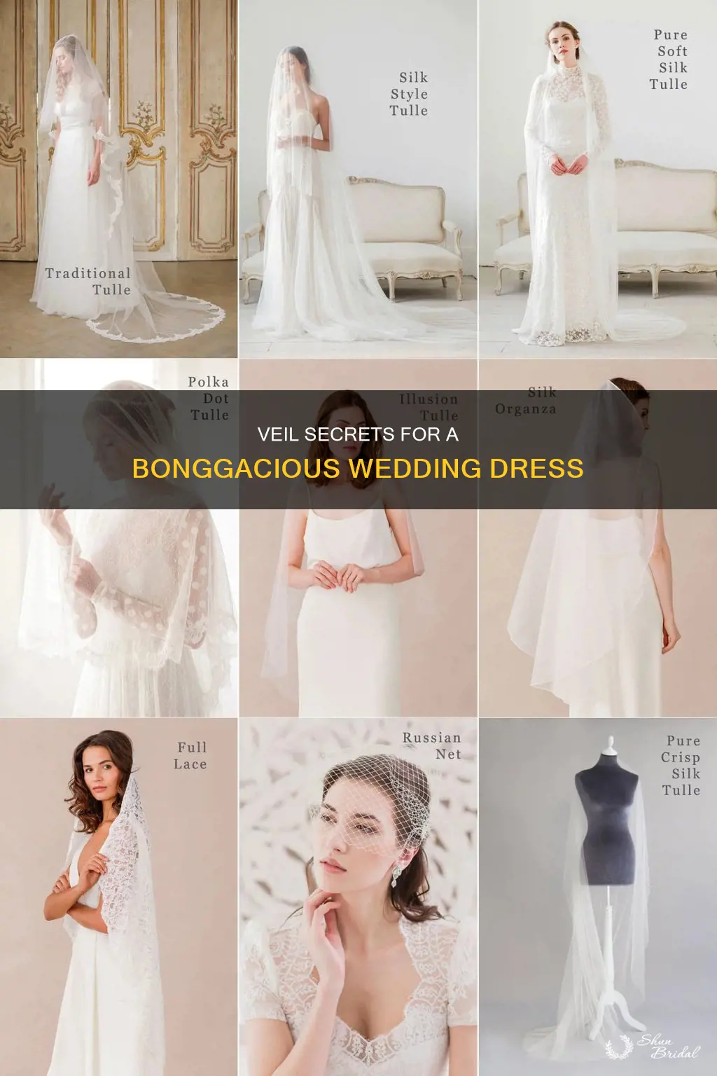 what veil.match a wedding dress that is bonggacious