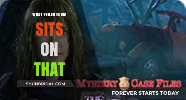 Unveiling the Mystery: What Veiled Form Sits on That?