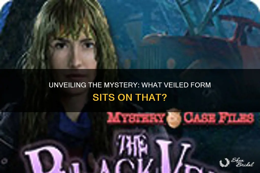 what veiled form sits on that