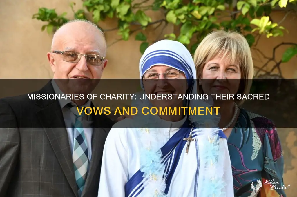 what vow did the missionaries of charity take