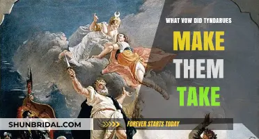 Tyndareus' Binding Vow: Unraveling the Oath of the Suitors