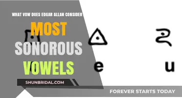 Edgar Allan Poe's Vow: Exploring the Most Sonorous Vowels in His Works
