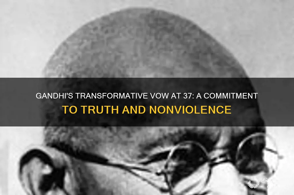 what vow does gandhi take at 37 and why