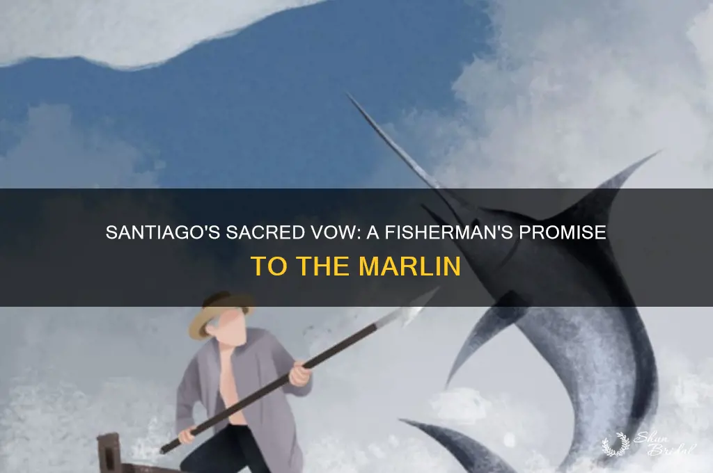 what vow does santiago make regarding the fish