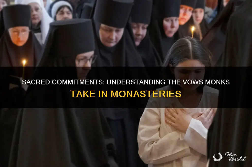 what vows did a monk takewhen they joined a monastery