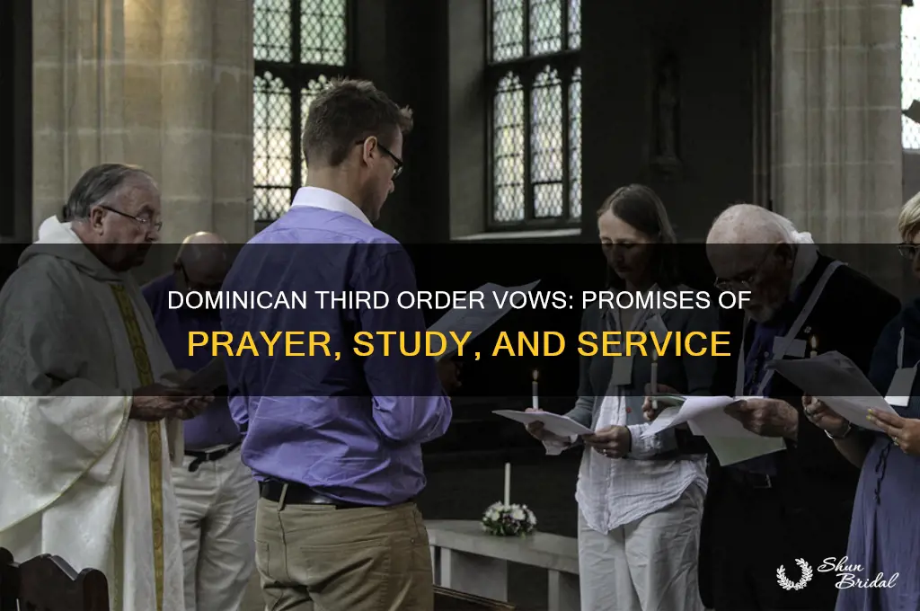 what vows do 3rd order dominican take
