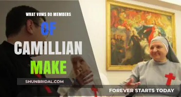 Camillian Members' Sacred Vows: Commitment, Chastity, Poverty, and Obedience Explained