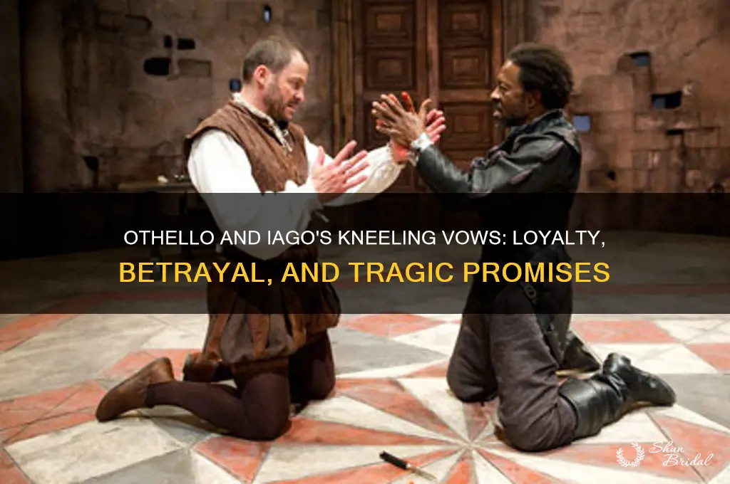 what vows do othello and iago make on their knees