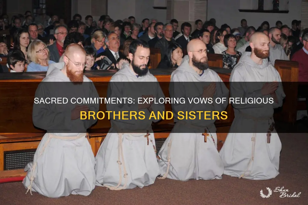 what vows do religious brothers and sisters make