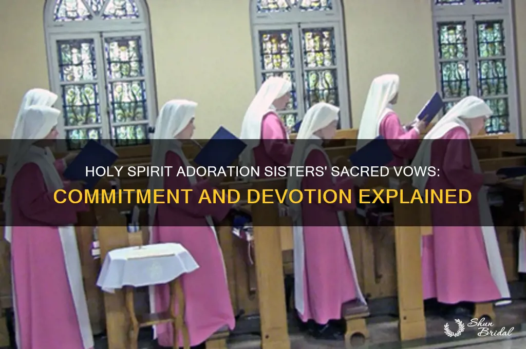 what vows do the holy spirit adoration sisters take