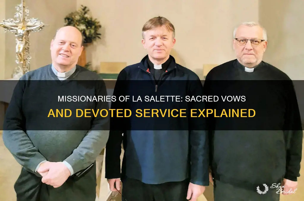 what vows do the missionaries of la salaette