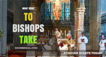 Sacred Commitments: Understanding the Solemn Vows Bishops Take in Service