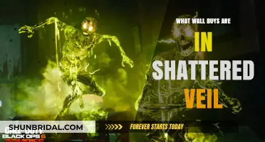 Top Wall Buys in Shattered Veil: A Comprehensive Guide