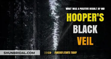 The Black Veil's Unexpected Gift: Mr. Hooper's Legacy of Reflection