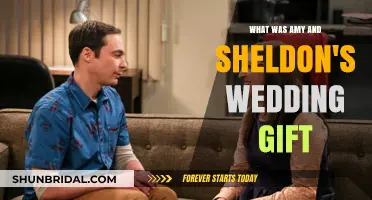 Amy and Sheldon's Wedding Gift: A Surprising and Heartwarming Surprise
