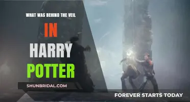 Unveiling the Mystery: What Lay Behind the Veil in Harry Potter