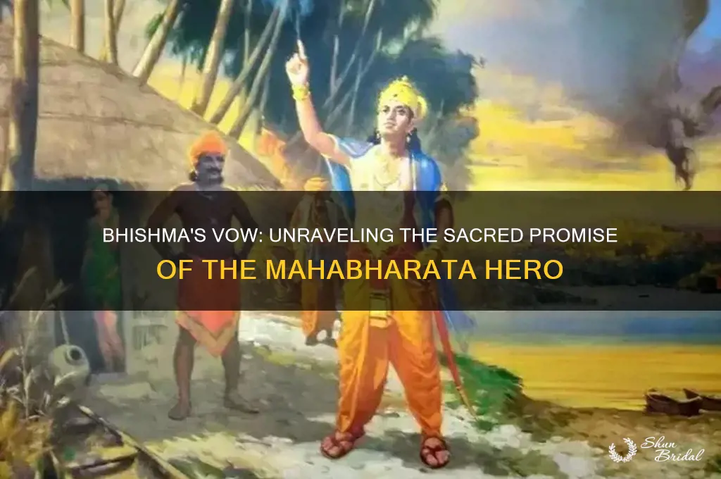 what was bhishma