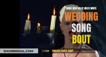 Billie Idol's White Wedding: Song Meaning Explained